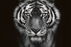www.arkuswork.com