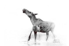 www.arkuswork.com