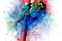 www.arkuswork.com