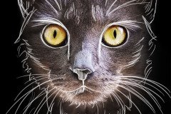 www.arkuswork.com