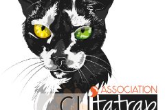 Logo 2