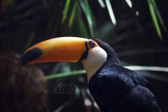 www.arkuswork.com
