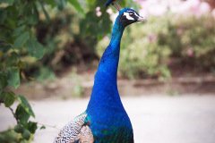 www.arkuswork.com