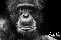 www.arkuswork.com