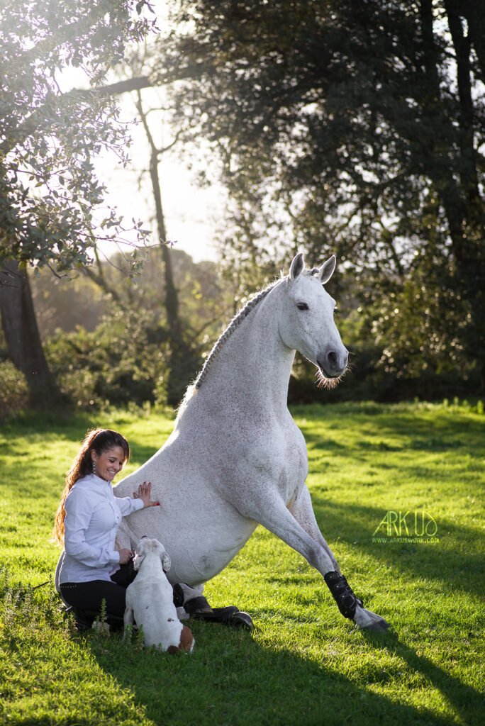 Séance photo en extérieur et en lumière naturelle au soleil couchant sur l'herbe avec un cheval, un chien et leur humaine sur Istres avec une photographe animalier