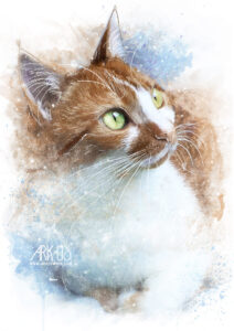 personnalisation création digitale à partir d'une photo d'un chat roux et blanc dans des tons pastel
