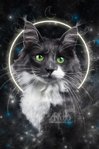 Digital Artwork création digitale personnalisée à partir d'une photo d'un chat gris et blanc avec étoiles et phases de la lune