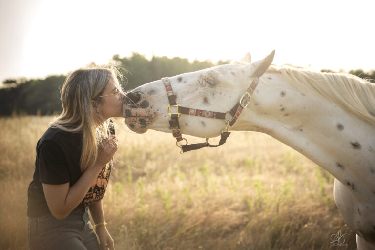 Cheval blanc moucheté avec jeune femme au coucher de soleil dans un champ – Julia Bénard photographe animalier Toulon