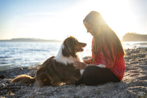 Chien Berger Australien au coucher de soleil en bord de mer sur la plage avec son humaine – Julia Bénard photographe animalier Toulon