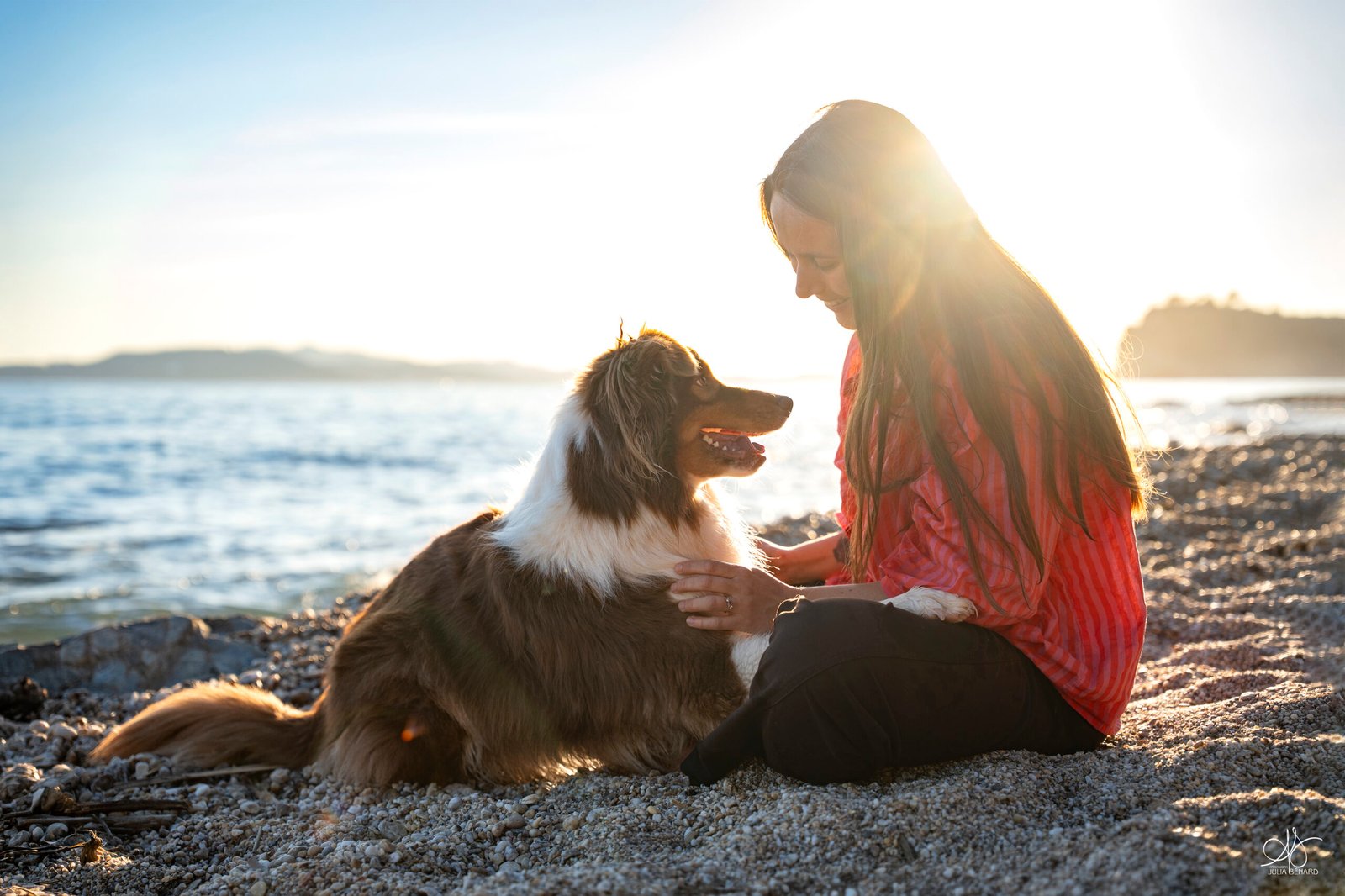 Chien Berger Australien au coucher de soleil en bord de mer sur la plage avec son humaine – Julia Bénard photographe animalier Toulon