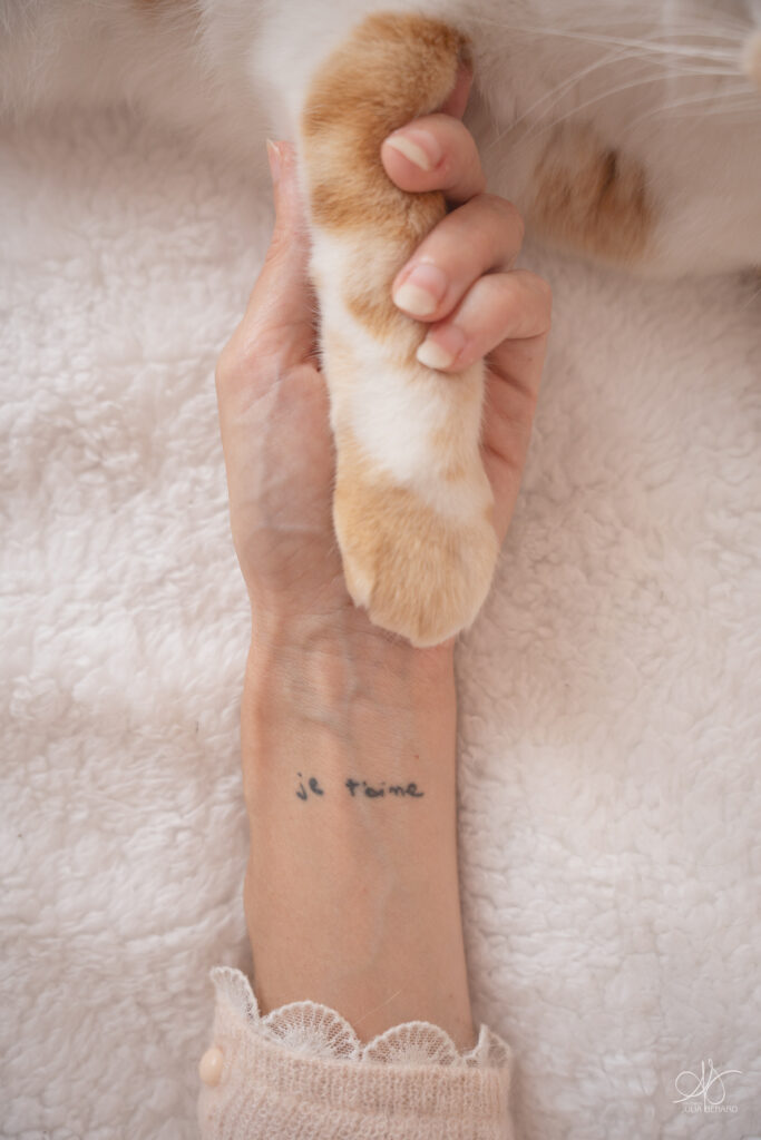patte de chat roux et blanc dans la main d'une femme sur son poignet est écrit "Je taime"
