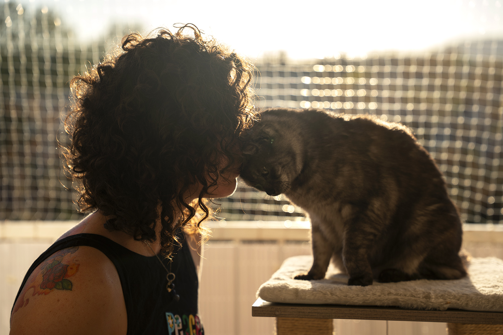 Femme qui fait un calin à son chat au coucher du soleil sur un balcon