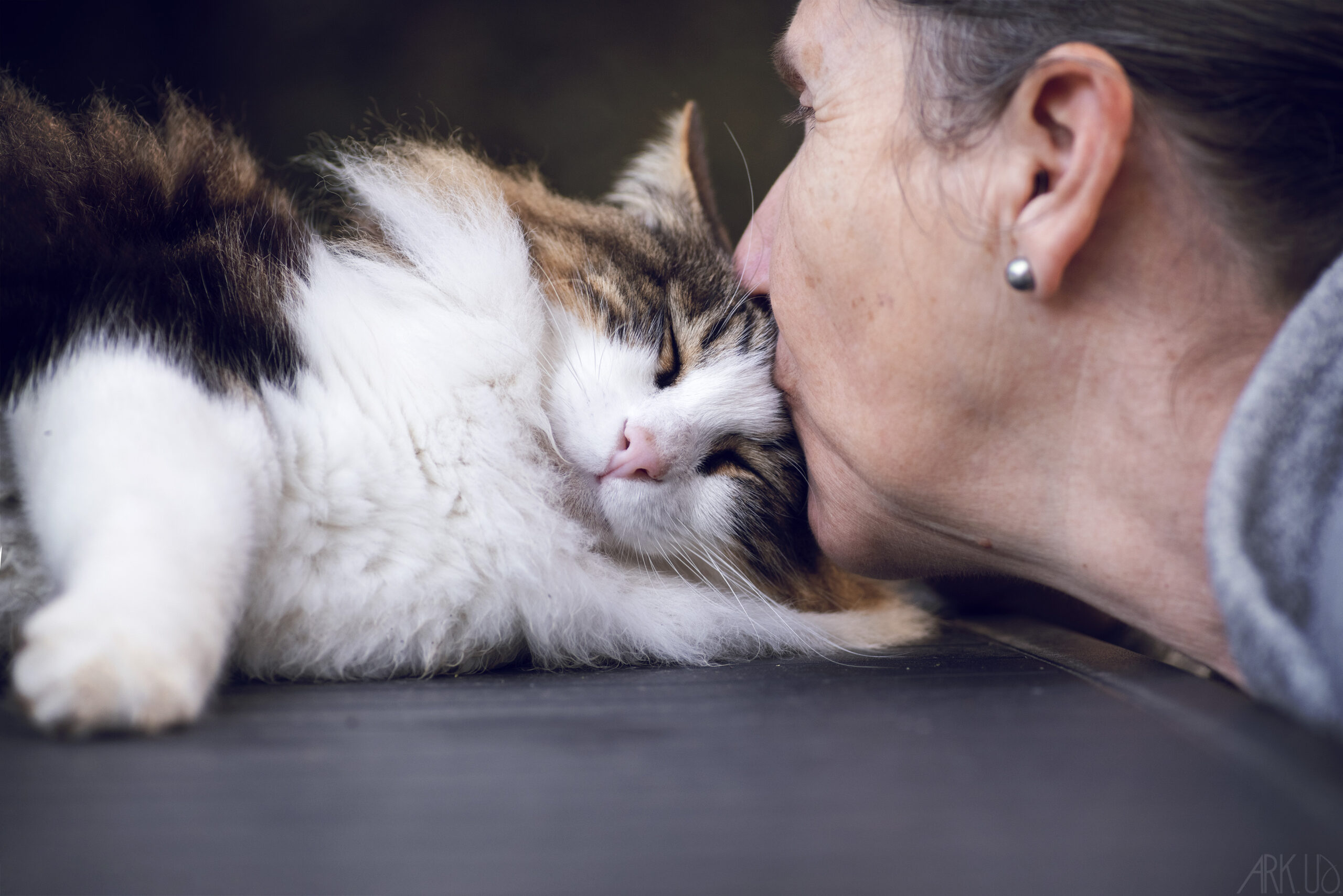 Chat âgé tripatte avec son humaine Monique qui lui fait un bisou