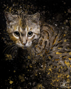 chat bengal création digital artwork