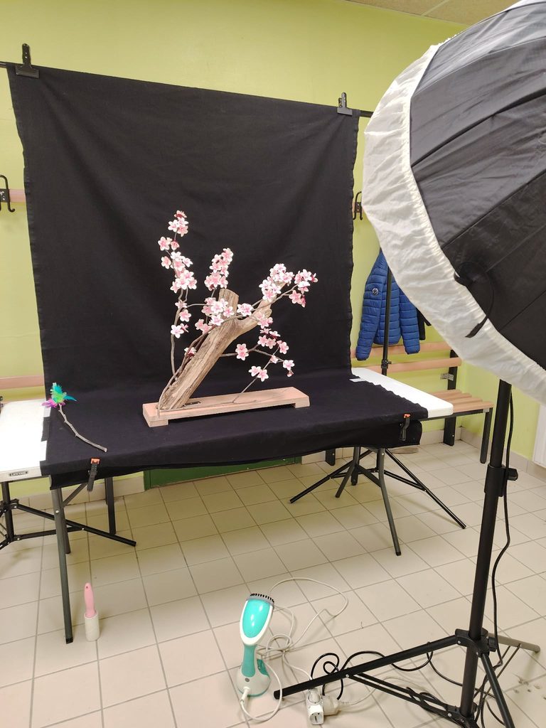 Table sur laquelle est déroulée un fond noir et posé un arbre avec des fleurs roses comme un cerisier, un flash est devant