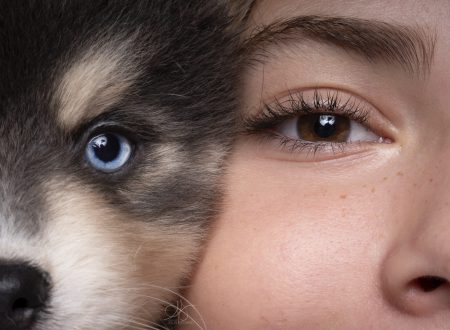 Petite fille et chiot pomsky en portrait très serré, yeux – Julia Bénard photographe animalier Toulon