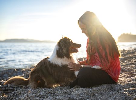 Chien Berger Australien au coucher de soleil en bord de mer sur la plage avec son humaine – Julia Bénard photographe animalier Toulon