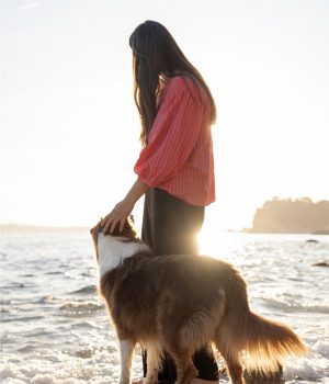 Chien et son humaine qui le caresse sur un rocher devant la mer